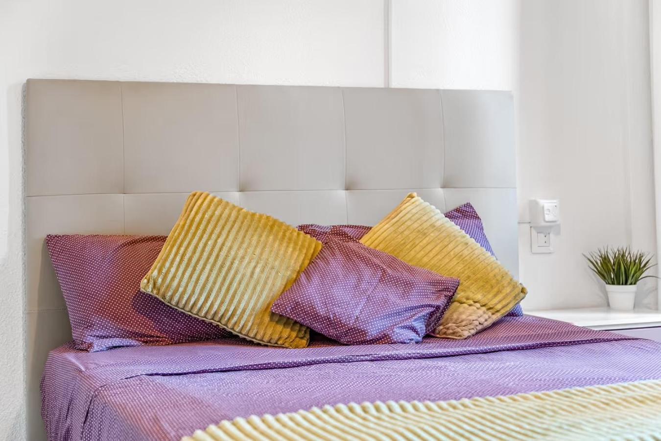 Apartamento Estefany A 100 M De Playa تورّيفيِخا المظهر الخارجي الصورة